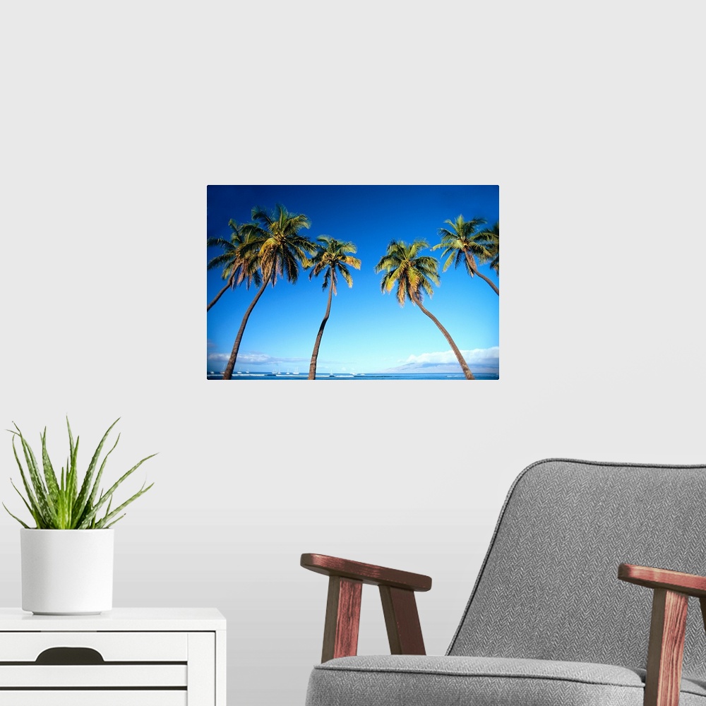A modern room featuring Hawaii, Maui, Lahaina, Coconut Palm Trees Along Ocean, Blue Sky