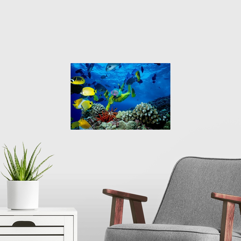 A modern room featuring Hawaii, Maui, Molokini Crater, Woman In Yellow Dive Suit Snorkels Over Reef