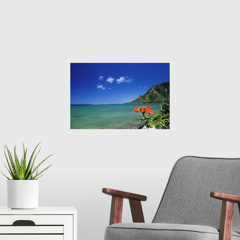 A modern room featuring Hawaii, Oahu, Kahana Bay, Clear Coastline With Bright Orange Flower
