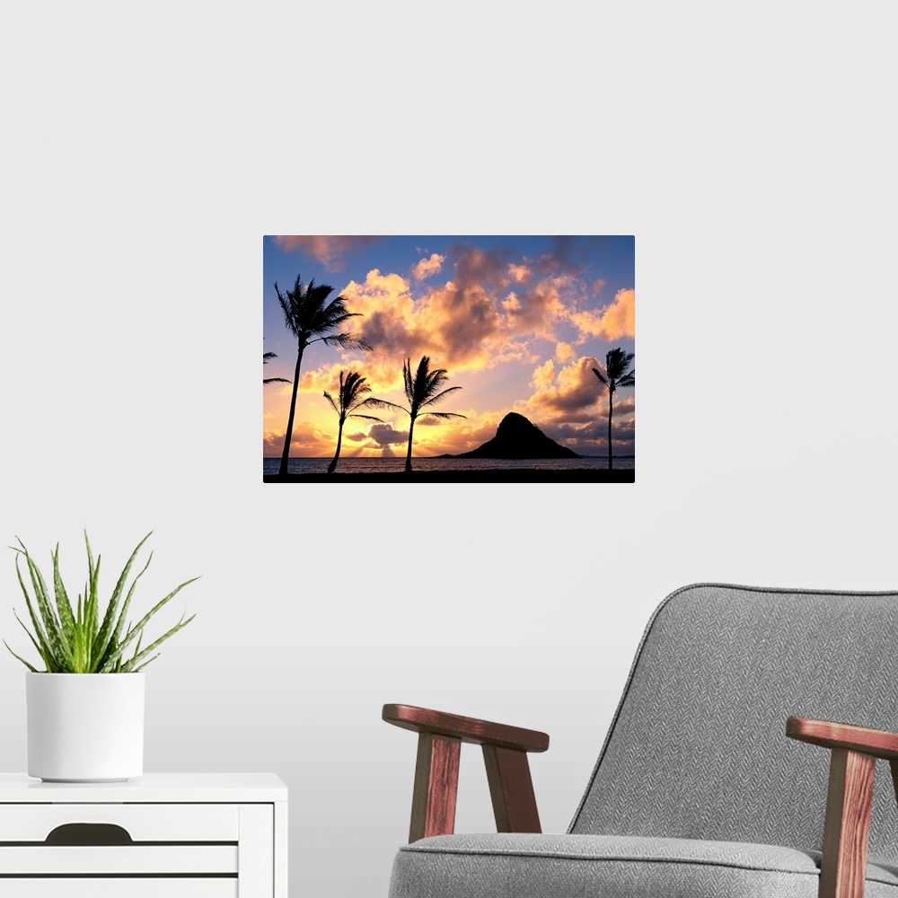 A modern room featuring Hawaii, Oahu, Kualoa County Beach Park, Mokoli'i Island Silhouetted At Sunrise