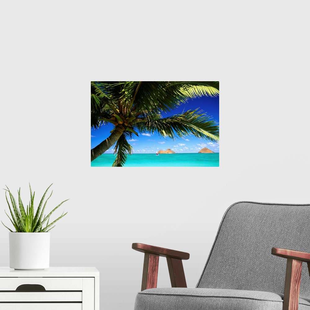 A modern room featuring Hawaii, Oahu, Lanikai, Palm Tree Foreground