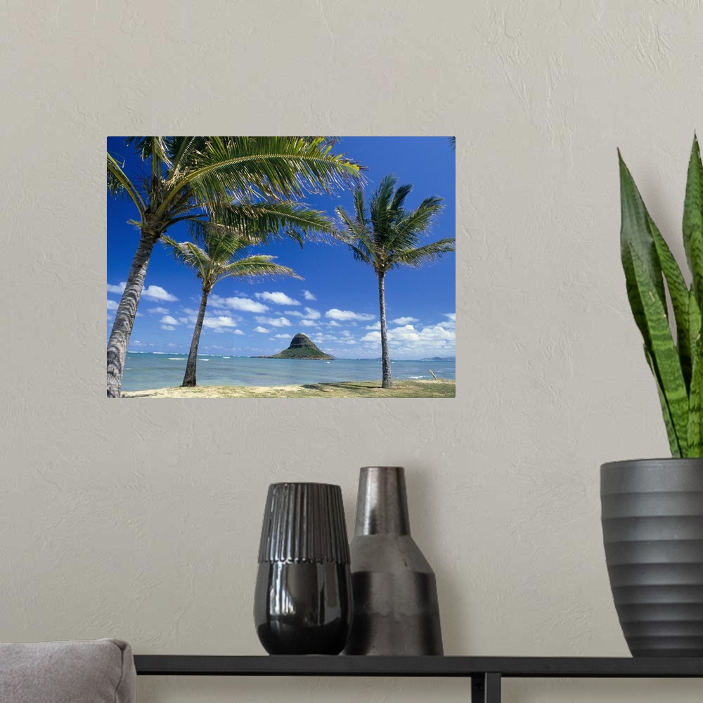 A modern room featuring Hawaii, Oahu, Mokoli'i Island And Palm Trees