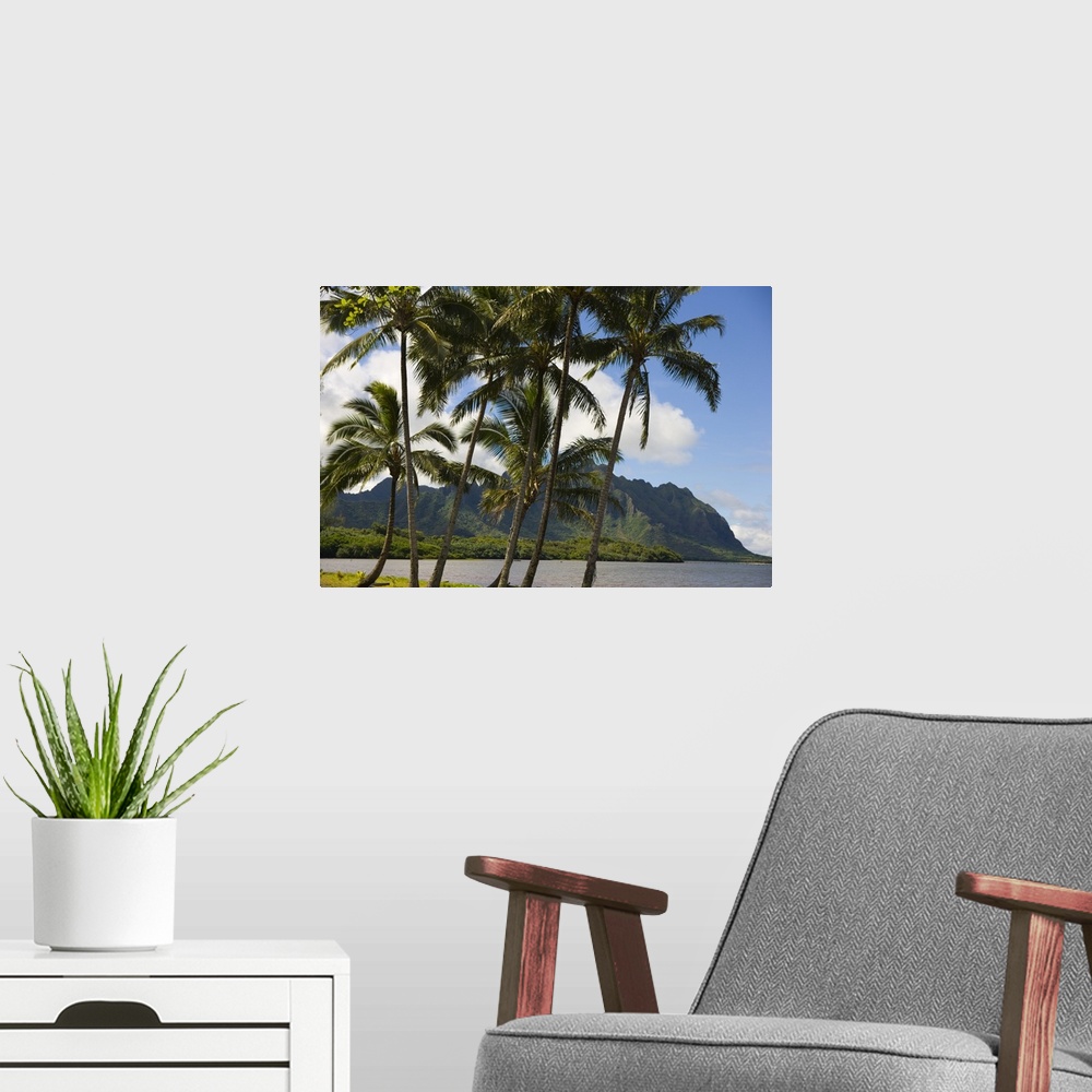 A modern room featuring Hawaii, Oahu, Windward, Waikane Beach Park, Kualoa In Background