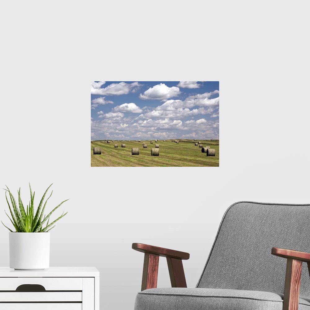 A modern room featuring Hay Bales In Field, Alberta, Canada