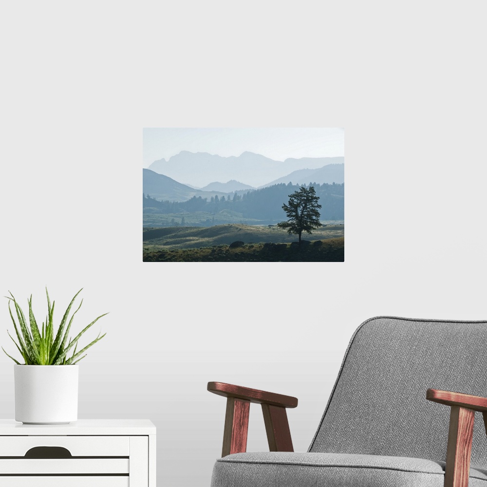 A modern room featuring Haze over the silhouetted Absaroka Range and Lamar Valley, Yellowstone National Park, United Stat...
