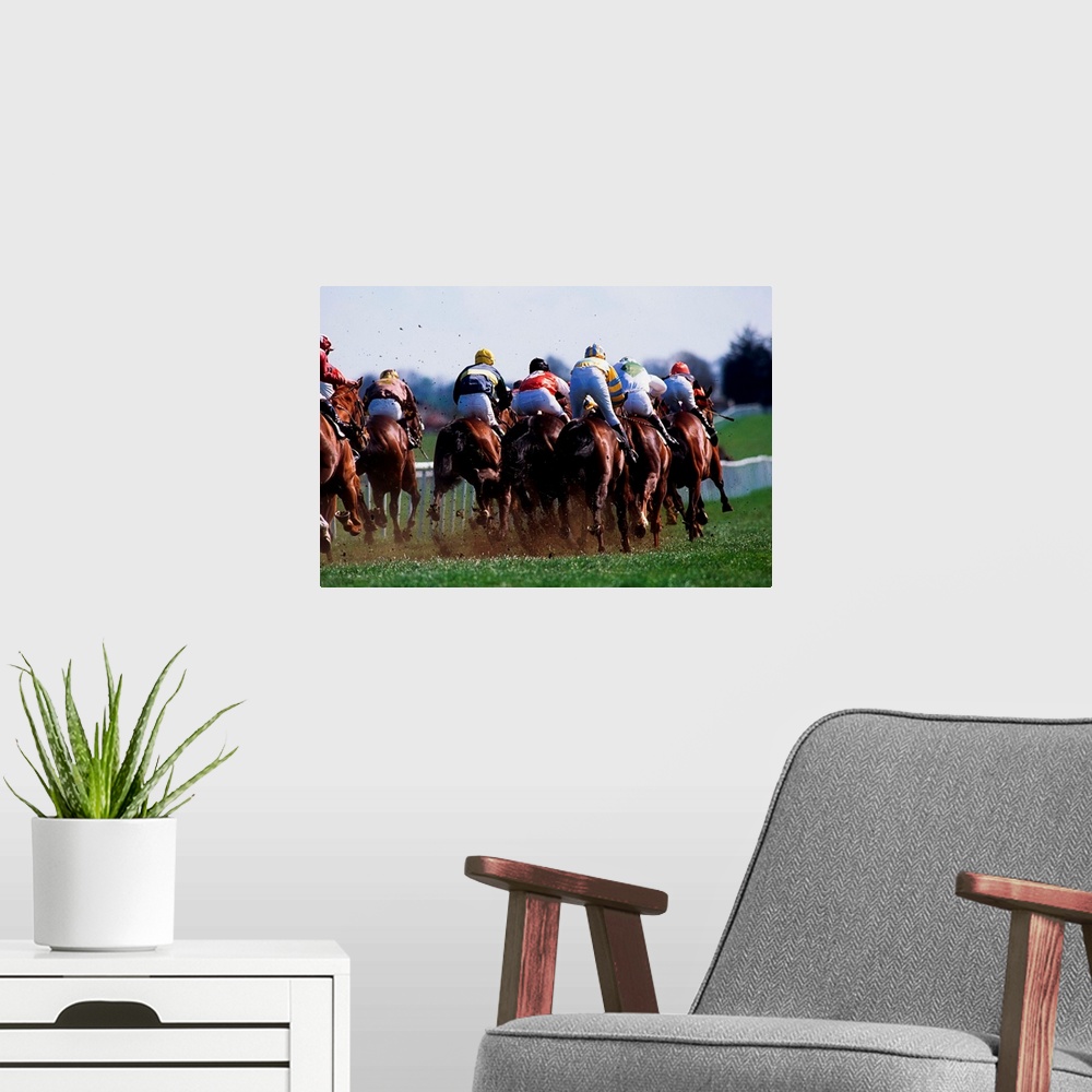 A modern room featuring Horse Racing, Rear View Of Horses Racing