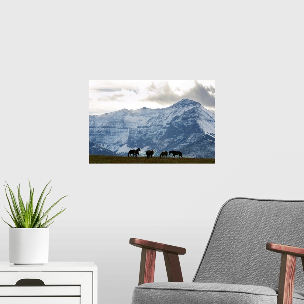 A modern room featuring Horses And Mountains, Southern Alberta, Canada