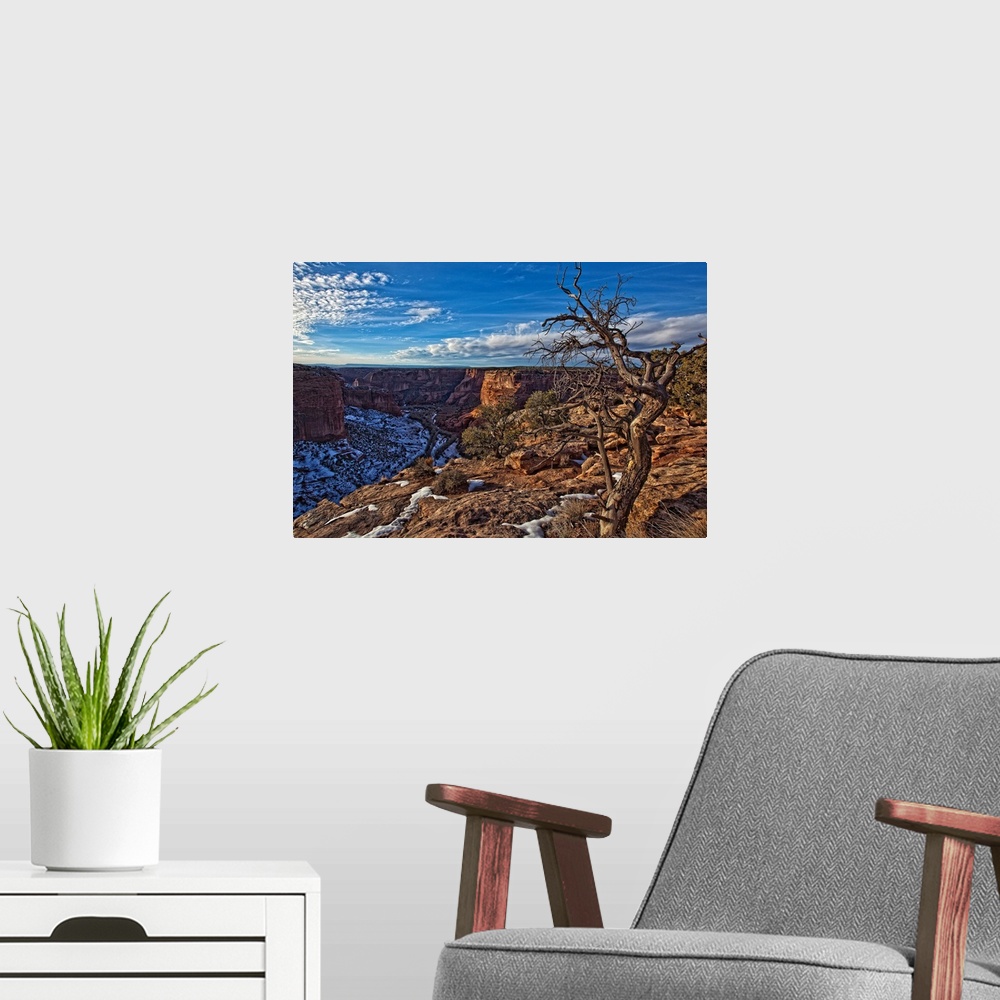 A modern room featuring Image Of Tree With Vibrant Blue Sky On Canyon De Chelley, Arizona, USA