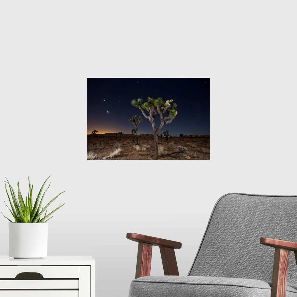 A modern room featuring Stars over Joshua Trees in the desert.