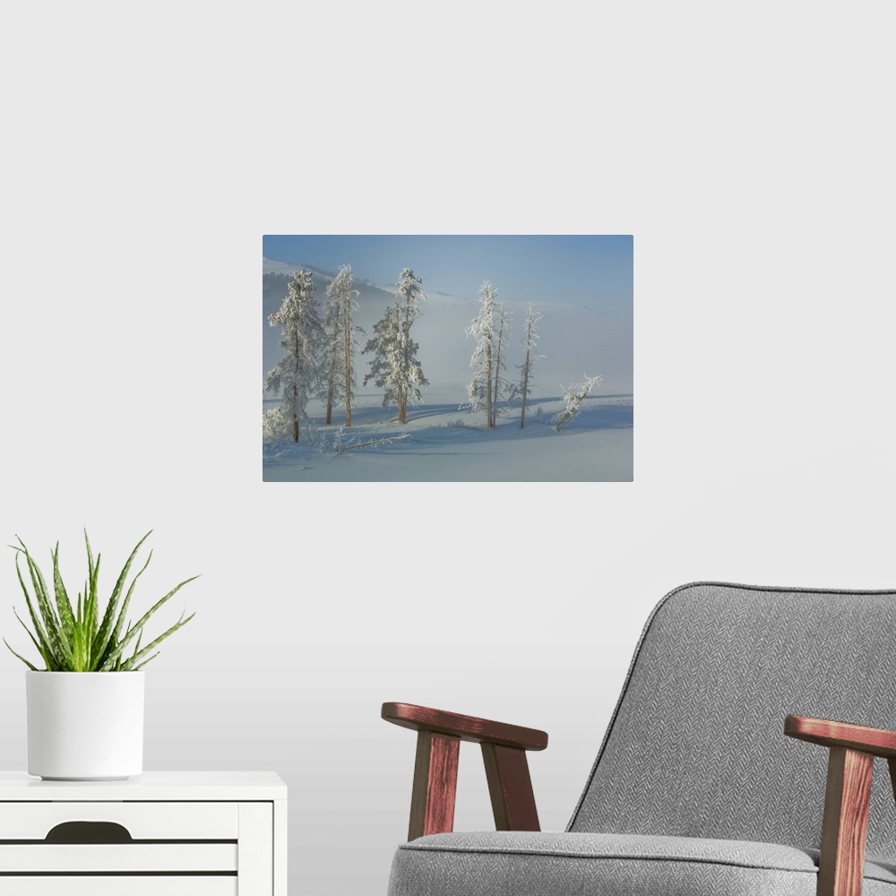 A modern room featuring Lodgepole pines and snow in the mist.