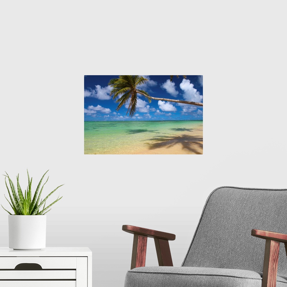 A modern room featuring Lone Palm Tree Leaning Over Beach With Shadow