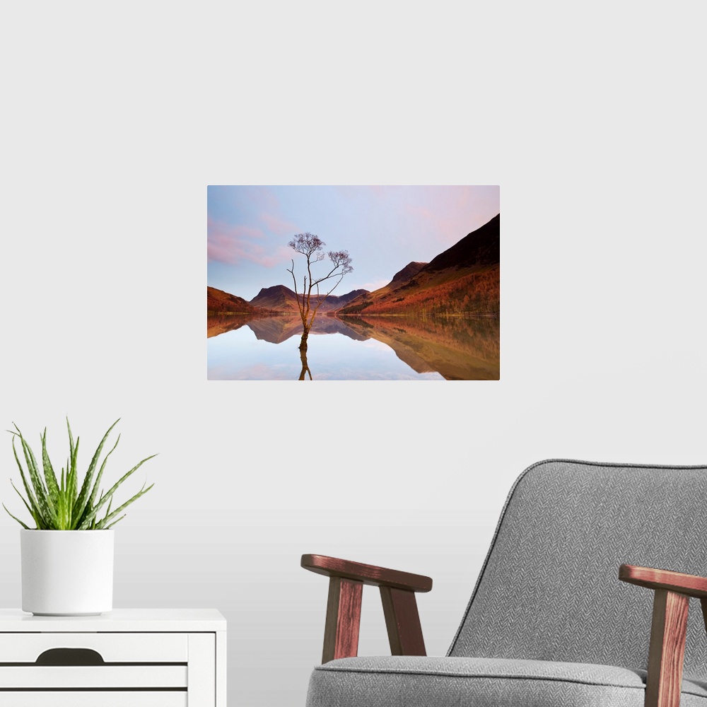 A modern room featuring Lone Tree in Lake, Lake Buttermere, Lake District, England