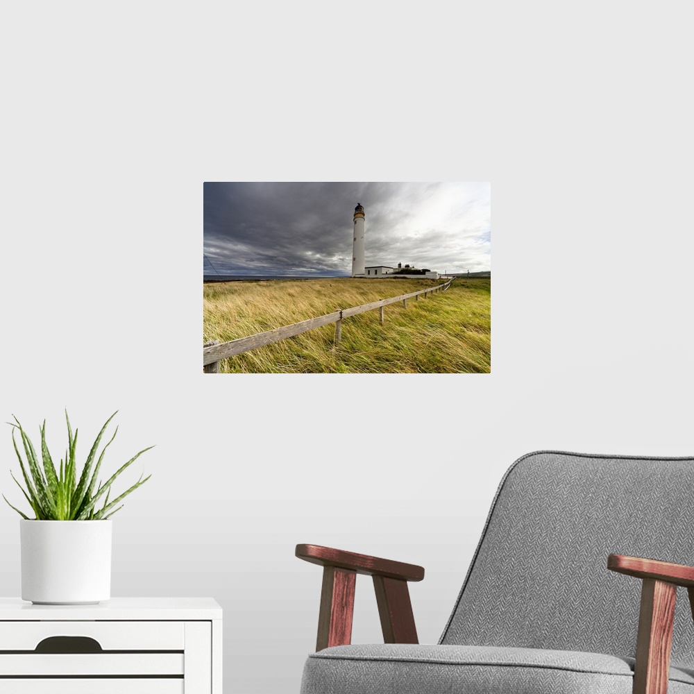 A modern room featuring Long Grass Blowing In The Wind; Scottish Borders, Scotland