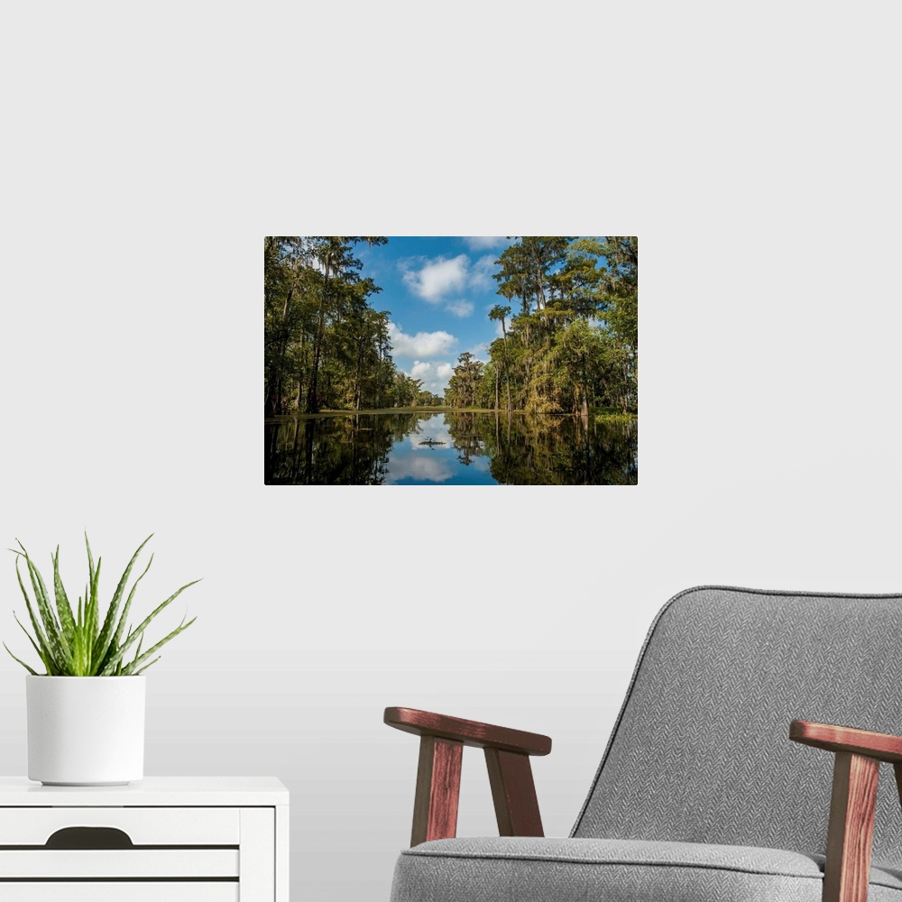 A modern room featuring Louisiana, Swamp landscape, Breaux Bridge