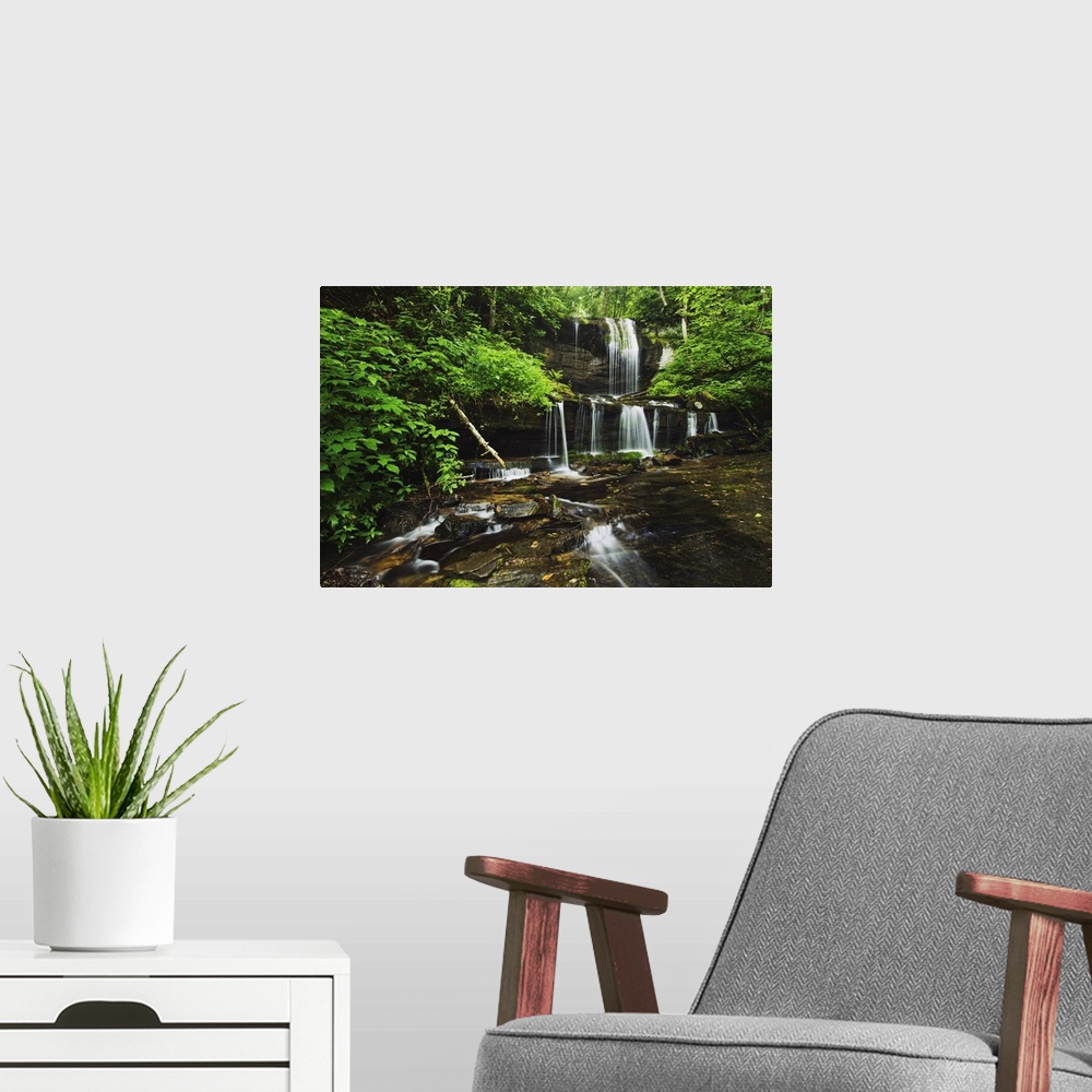 A modern room featuring Lush Summer Foliage At Grassy Creek Falls, North Carolina