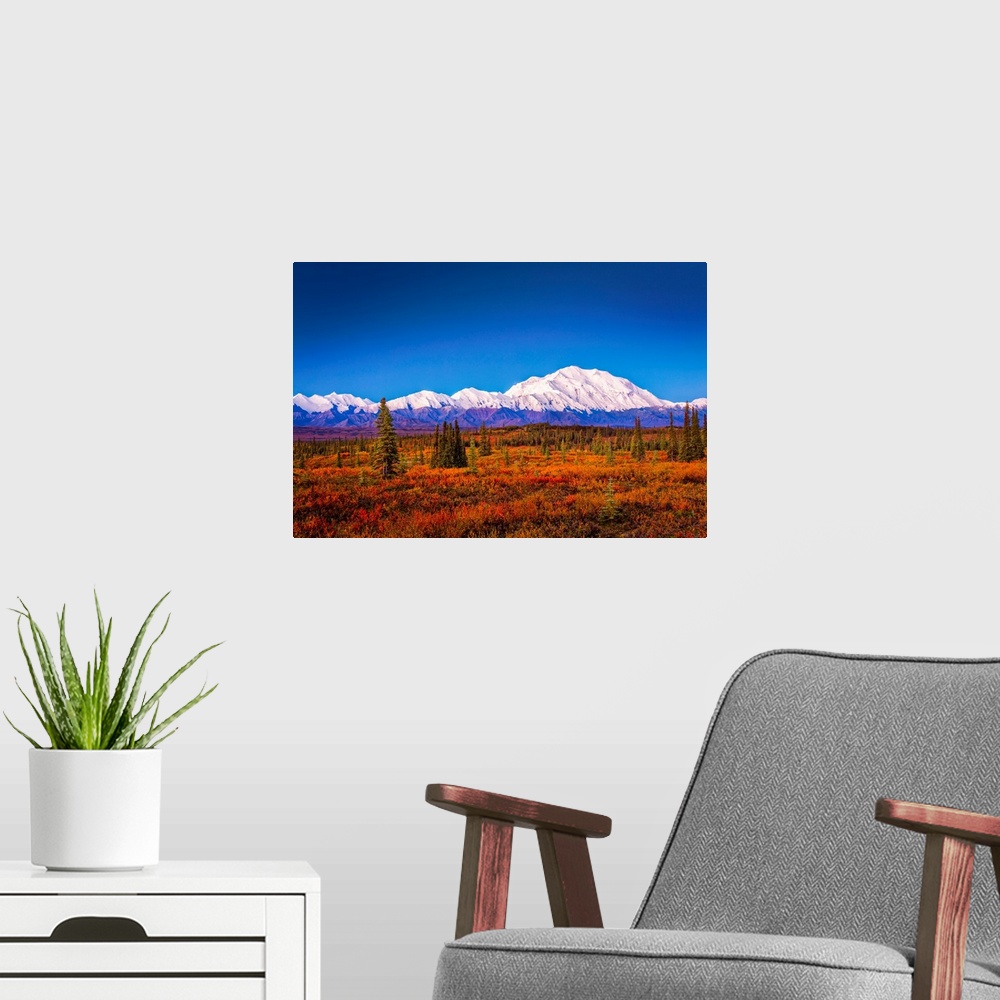 A modern room featuring Mount Denali (McKinley) at dawn with fall colors of the tundra in the foreground in autumn, Denal...