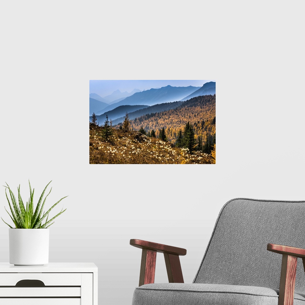 A modern room featuring Mountain Range and Autumn Larch Along Rock Isle Trail, Sunshine Meadows, Mount Assiniboine Provin...