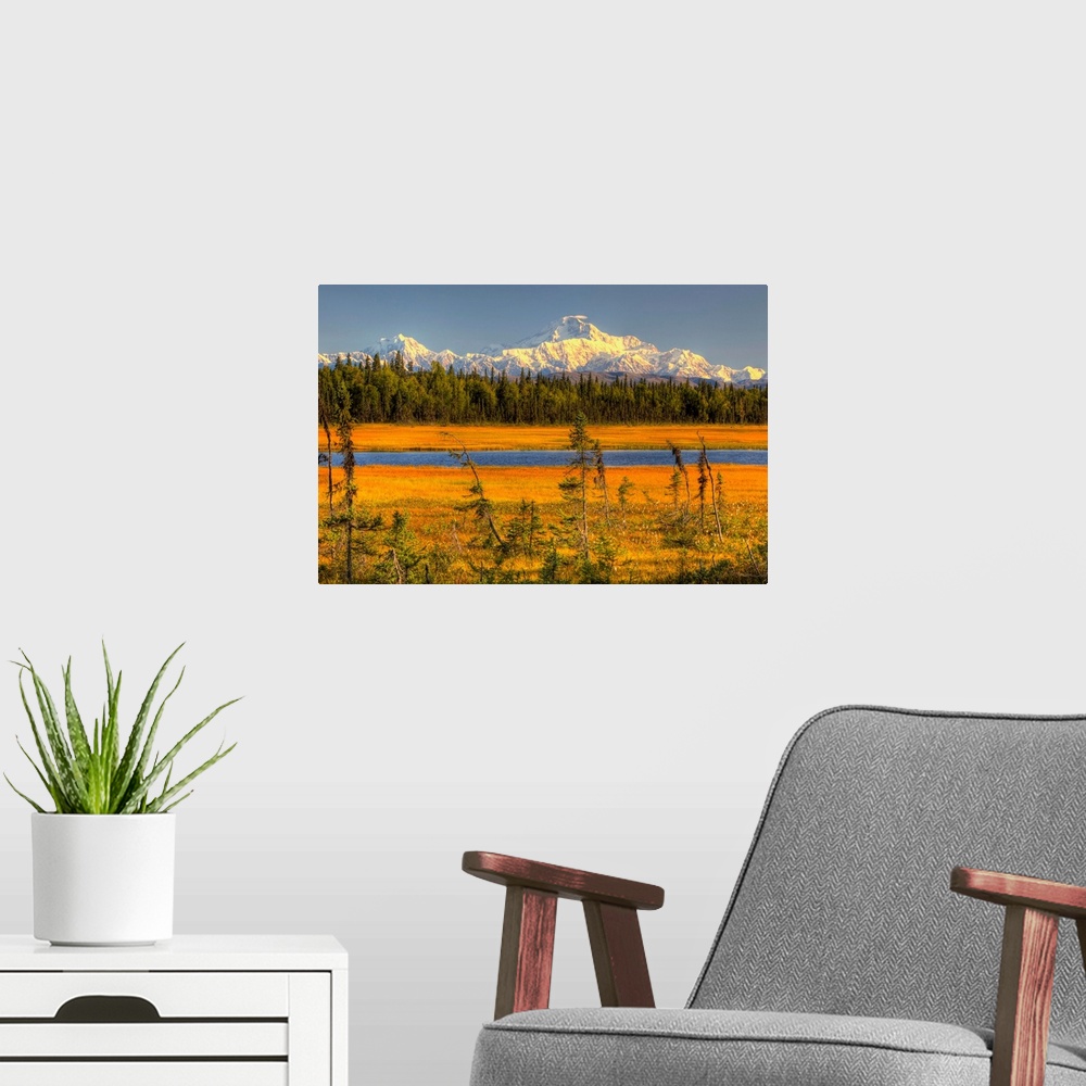 A modern room featuring Mt. McKinley At Sunset, Denali National Park, Southcentral Alaska