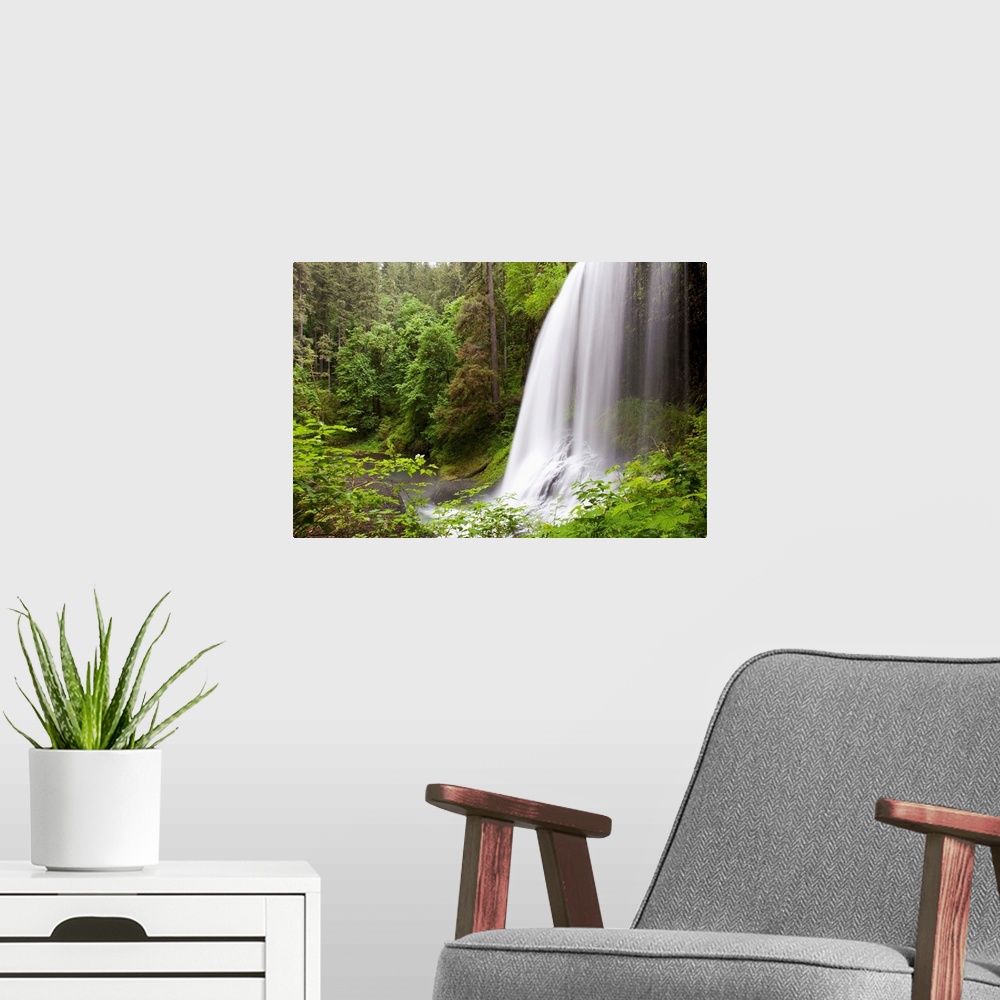 A modern room featuring North Middle Falls In Silver Falls State Park; Oregon