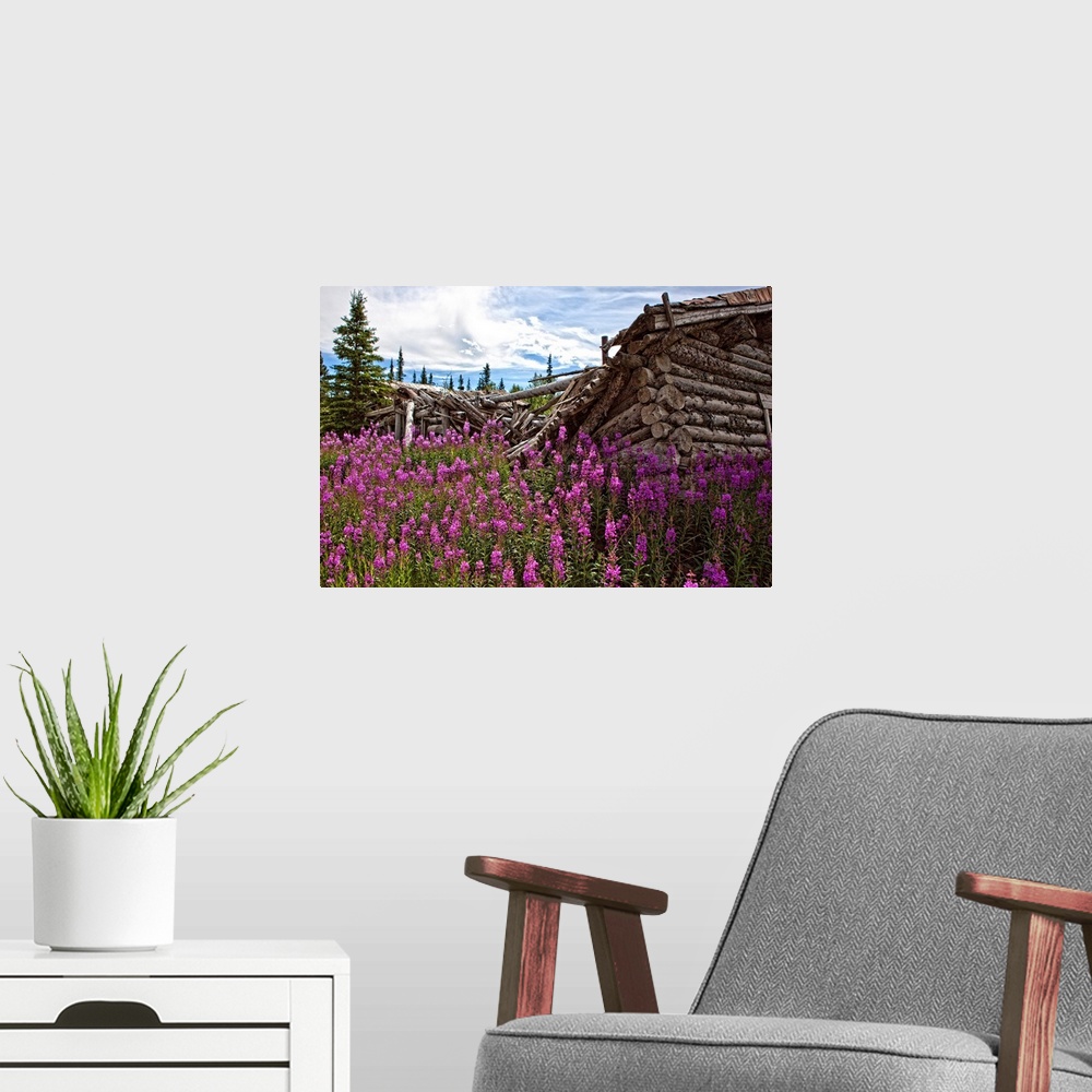 A modern room featuring Old Trappers Cabin Surrounded By Fireweed At Silver City, Yukon, Canada