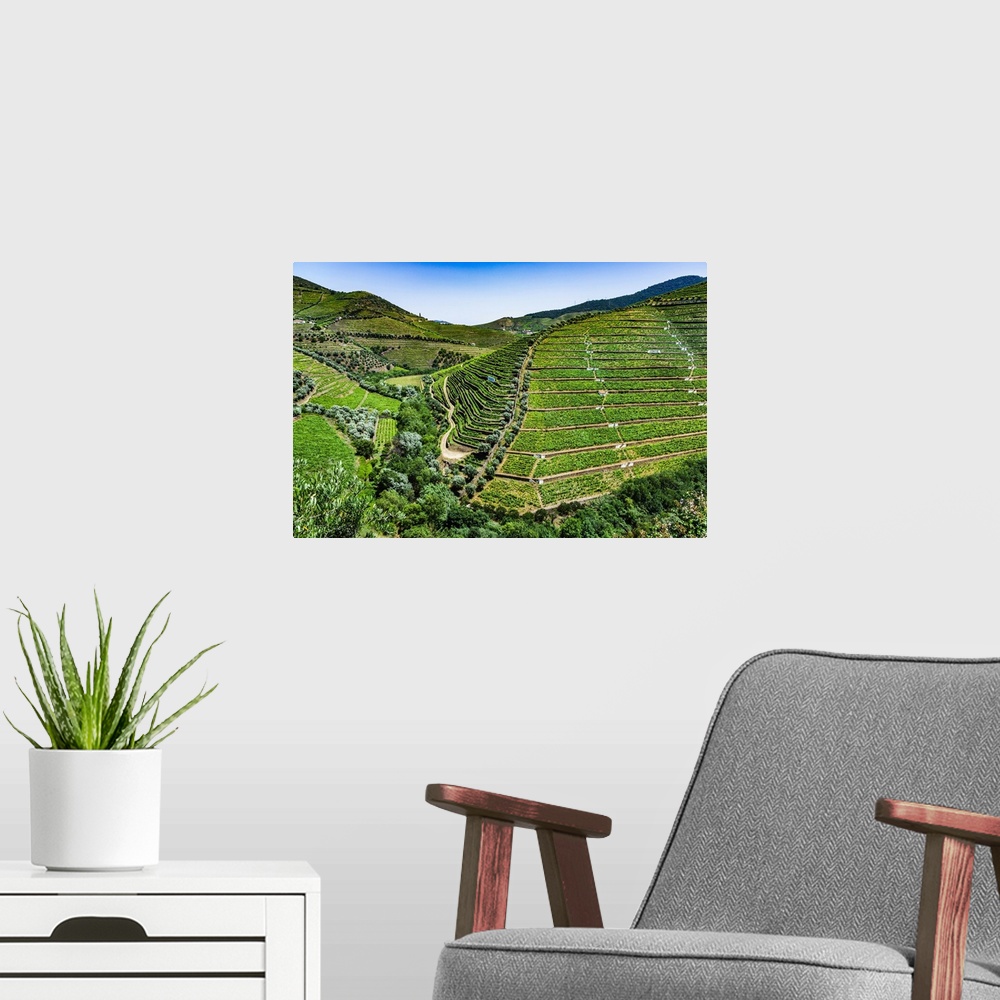 A modern room featuring Overview of the terraced vineyards in the Douro River Valley, Norte, Portugal