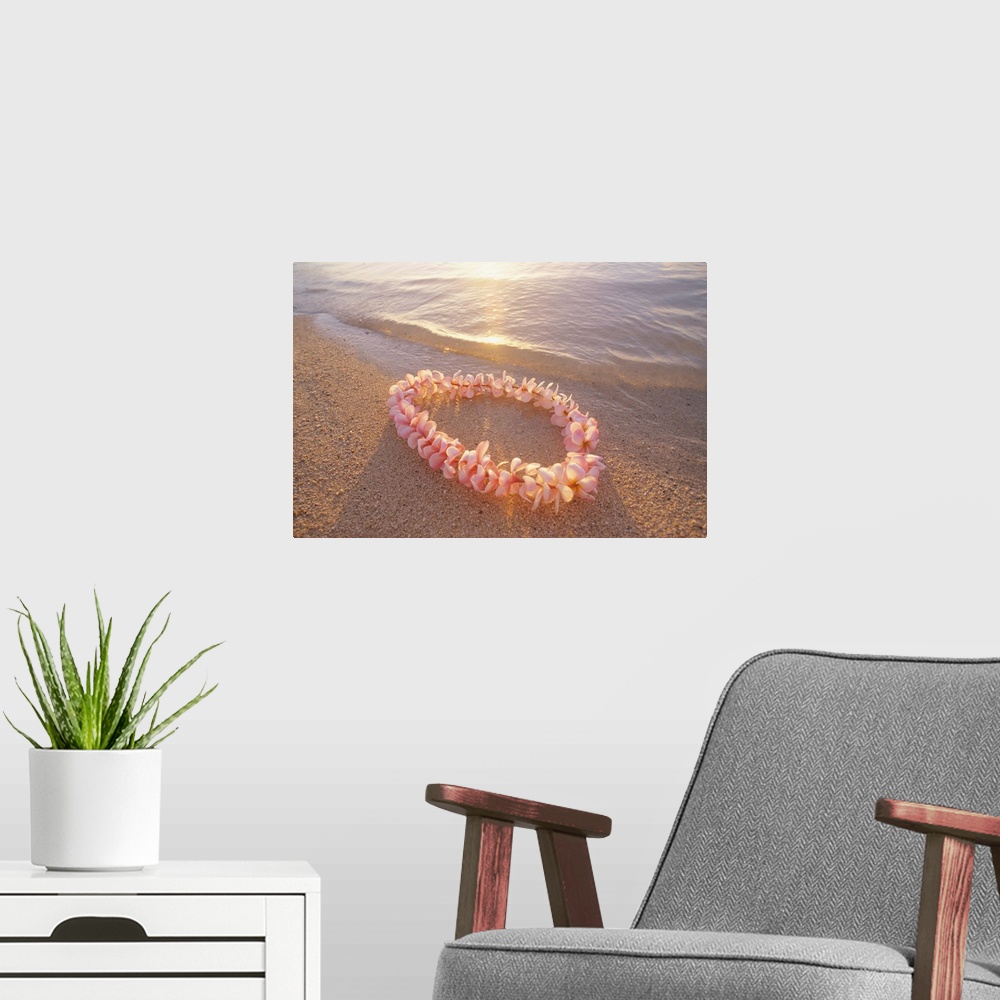 A modern room featuring Pale Pink Plumeria Lei In Shoreline Waters With Golden Sunset Reflections