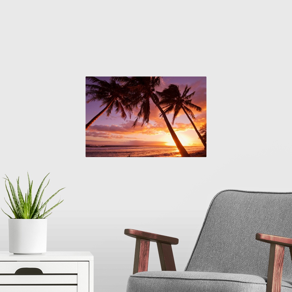 A modern room featuring Palm trees at sunset, Olowalu, Maui, Hawaii, United States of America