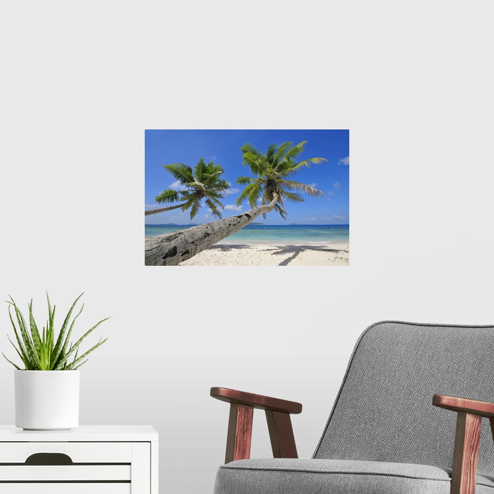 A modern room featuring Palm Trees on Beach with Indian Ocean, La Digue, Seychelles