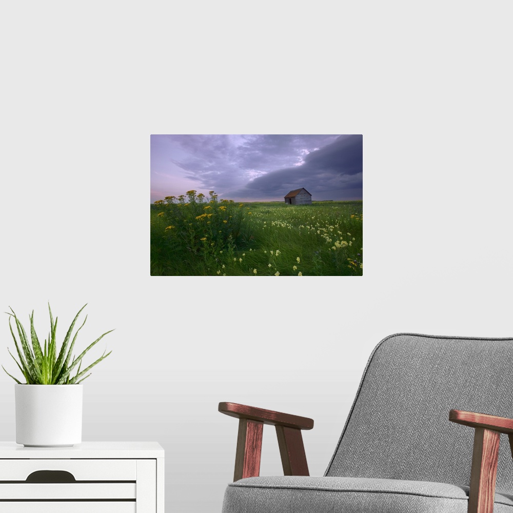 A modern room featuring Prairie Wildflowers And An Old Farm Granary, Central Alberta, Canada