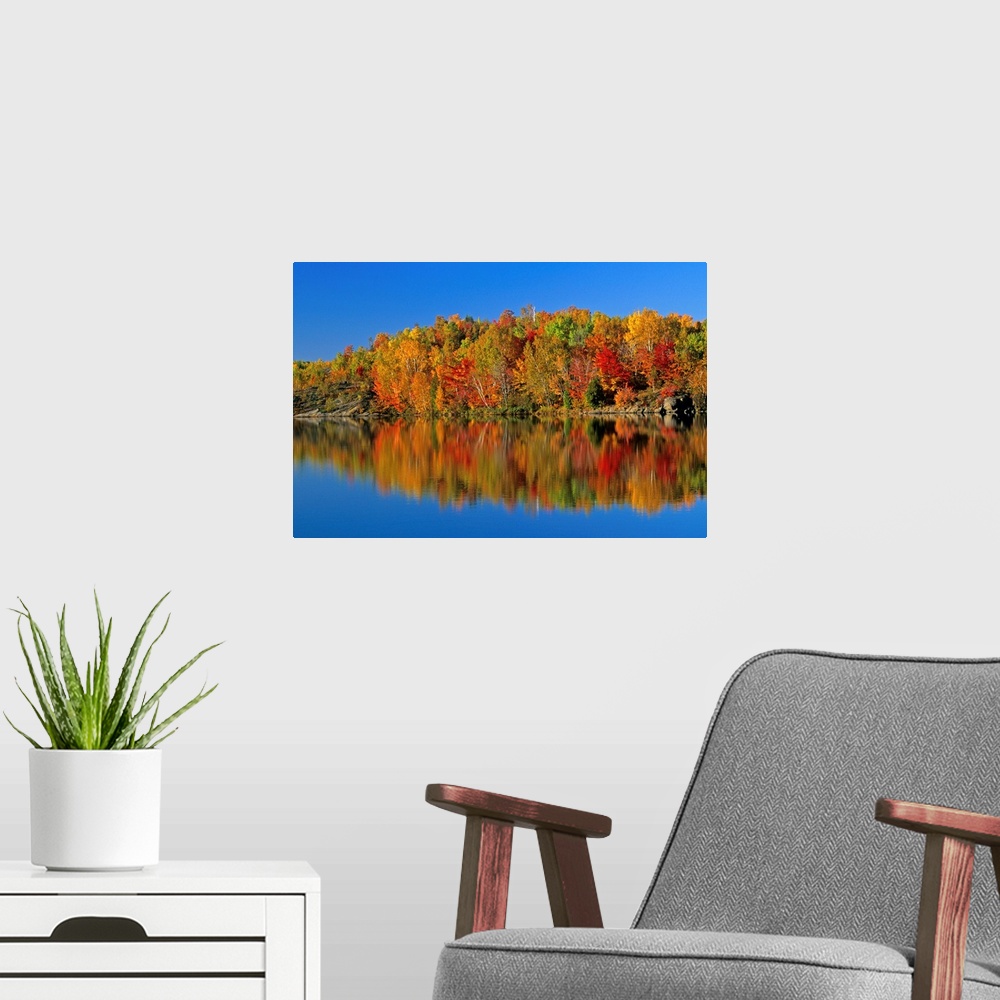 A modern room featuring Reflected Autumn Trees In Simon Lake, Naughton, Ontario, Canada