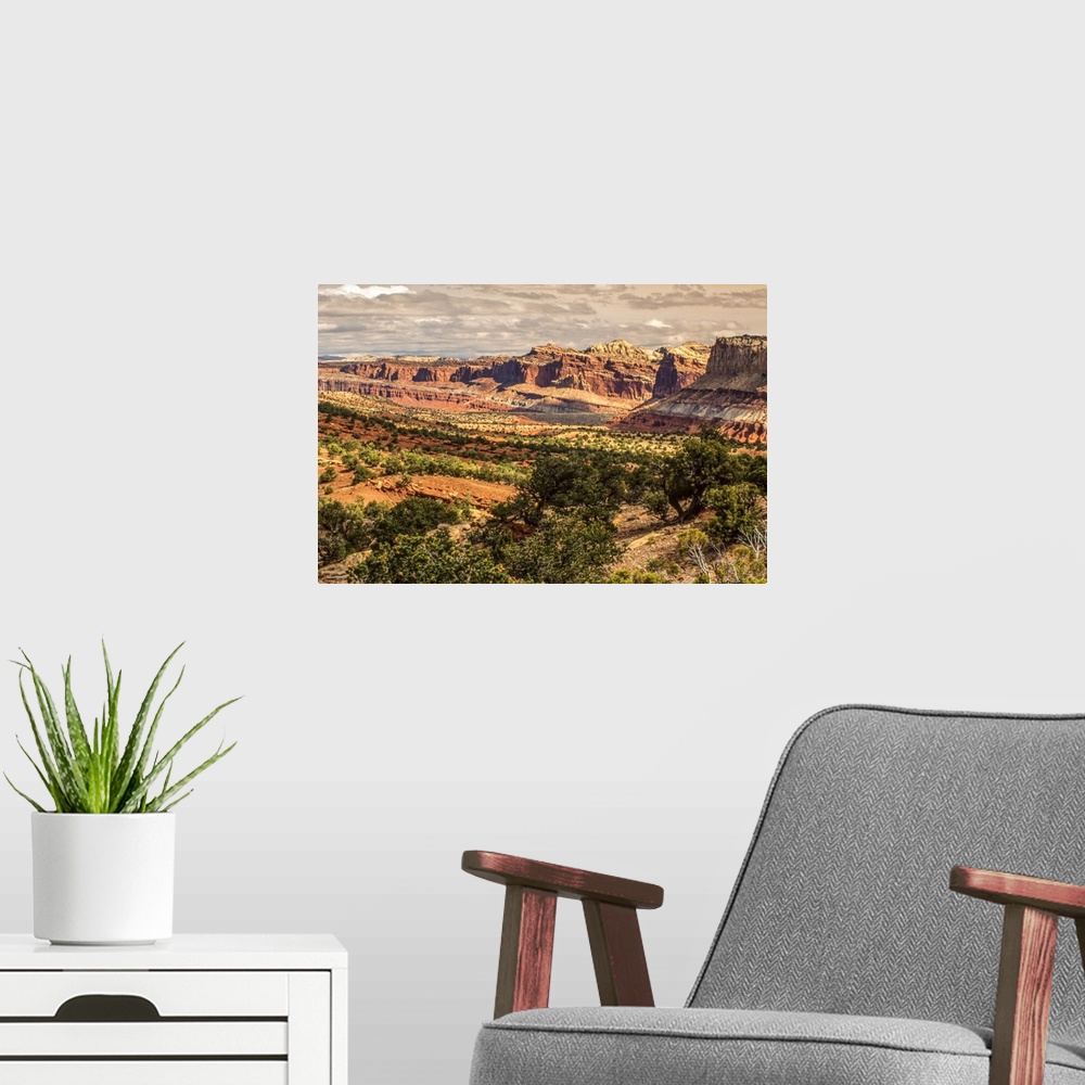A modern room featuring Overview of the sandstone rock formations along the valley covered in juniper trees (Juniper scop...