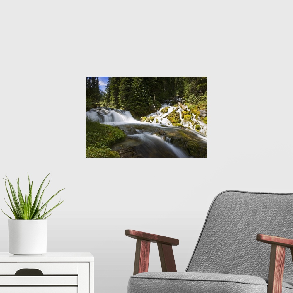 A modern room featuring Scenic View Of A Stream