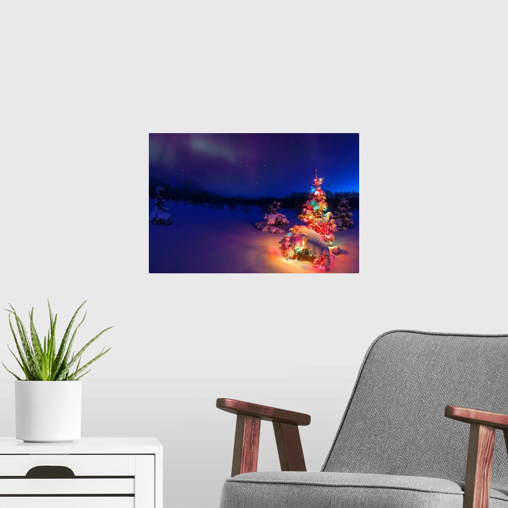 A modern room featuring Small tree outdoors with Christmas lights under starry sky, Alberta, Canada.