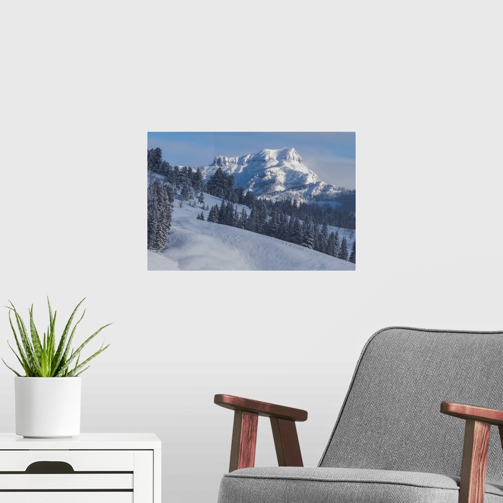 A modern room featuring View of snow covered Barronette Peak in the Absaroka Range on a sunny winter day in Yellowstone N...