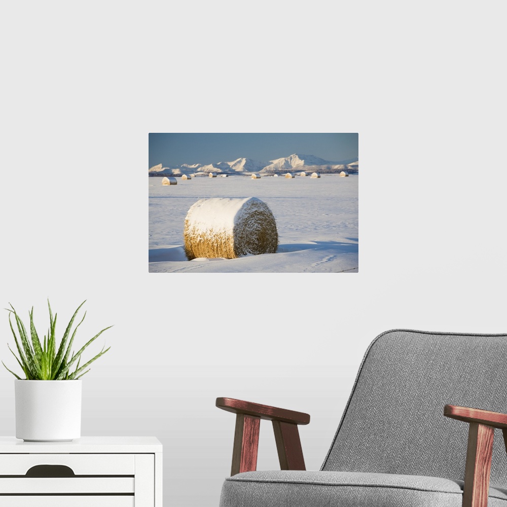 A modern room featuring Snow-Covered Hay Bales; Okotoks, Alberta, Canada