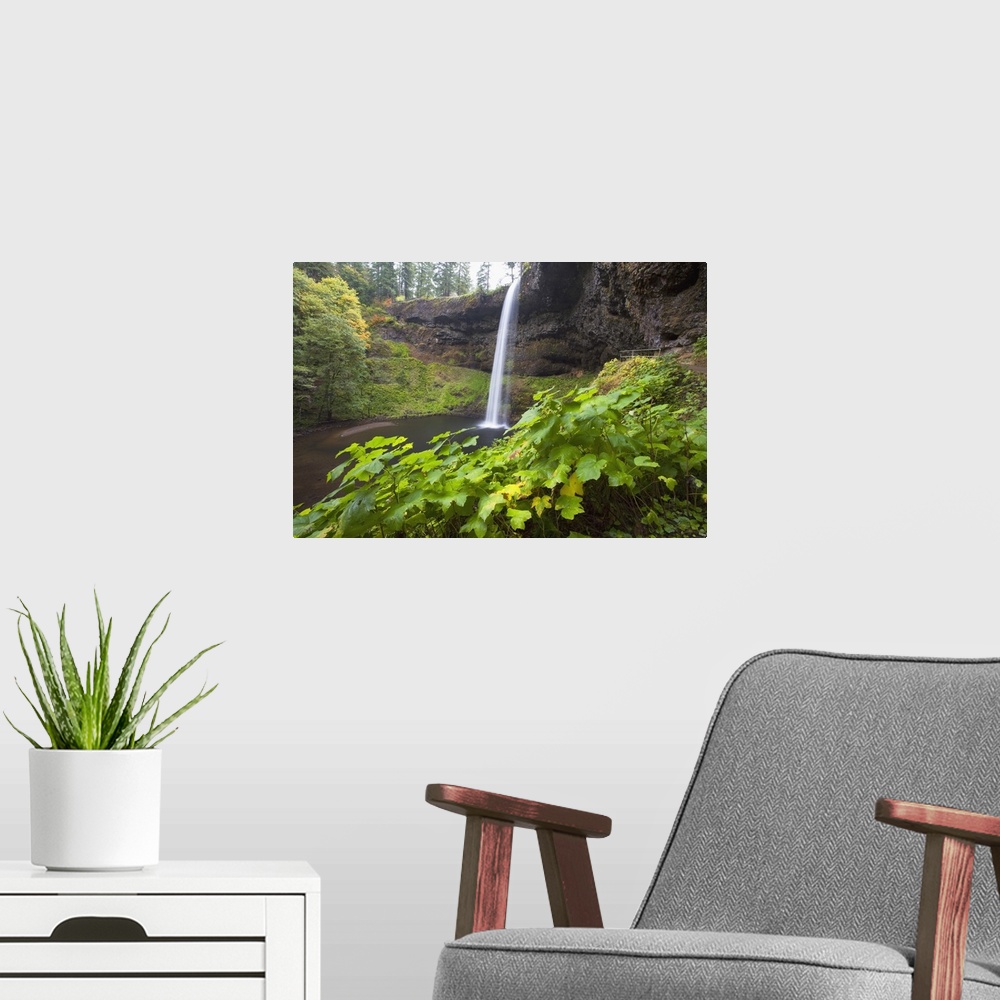 A modern room featuring South Silver Falls, Silver Falls State Park, Oregon