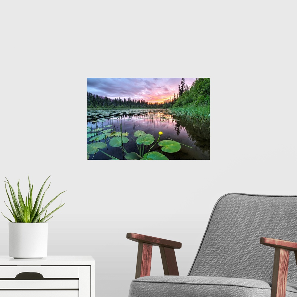 A modern room featuring Sunset over an unnamed lake with water lilies along the Yellowhead Highway, Canada