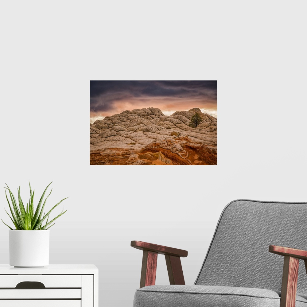 A modern room featuring The amazing sandstone and rock formations of White Pocket; Arizona, United States of America