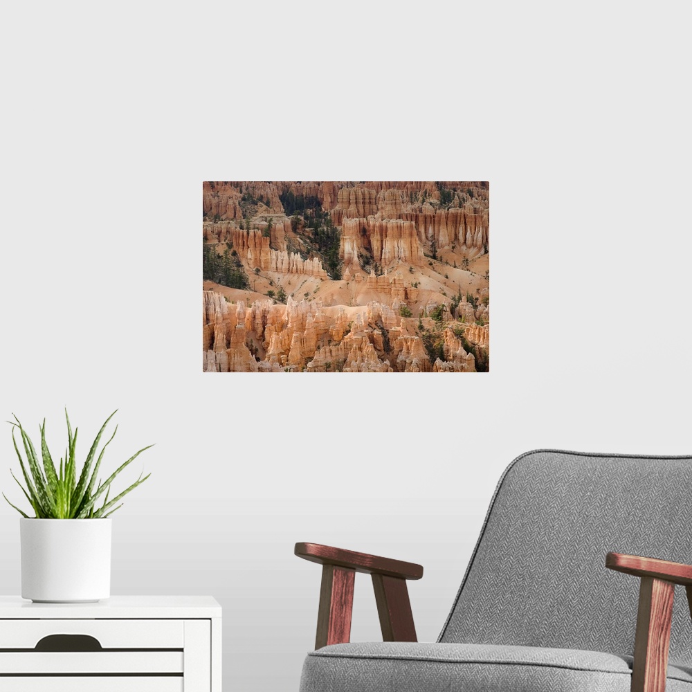 A modern room featuring The Needles Of Bryce Canyon, Utah