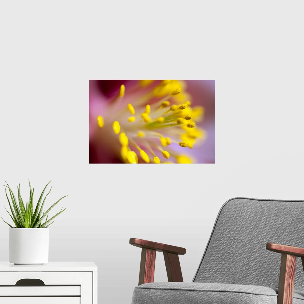 A modern room featuring The Stamen Of A Flower