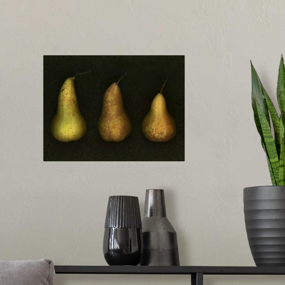 A modern room featuring Three Golden Pears