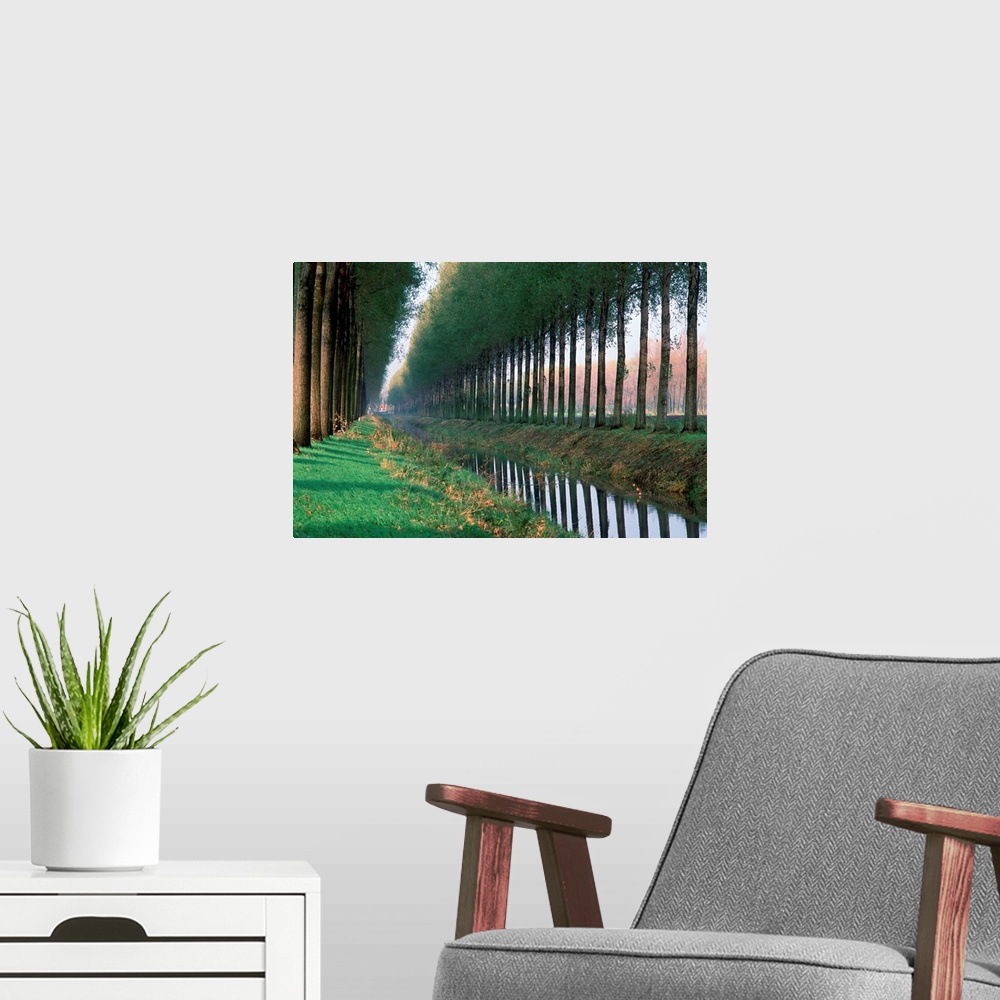 A modern room featuring Tree Lined Road, From Brugge To Damme, Belgium
