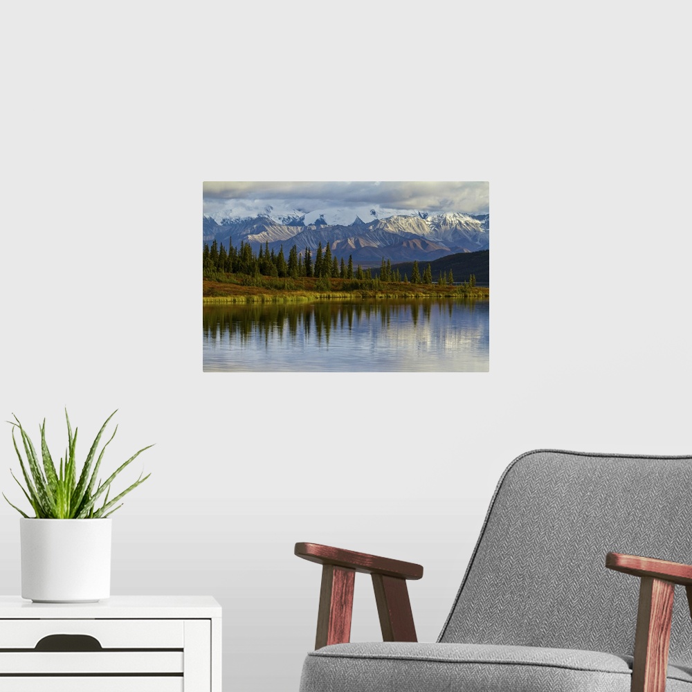 A modern room featuring Trees reflected in the surface of Wonder Lake in Denali National Park.