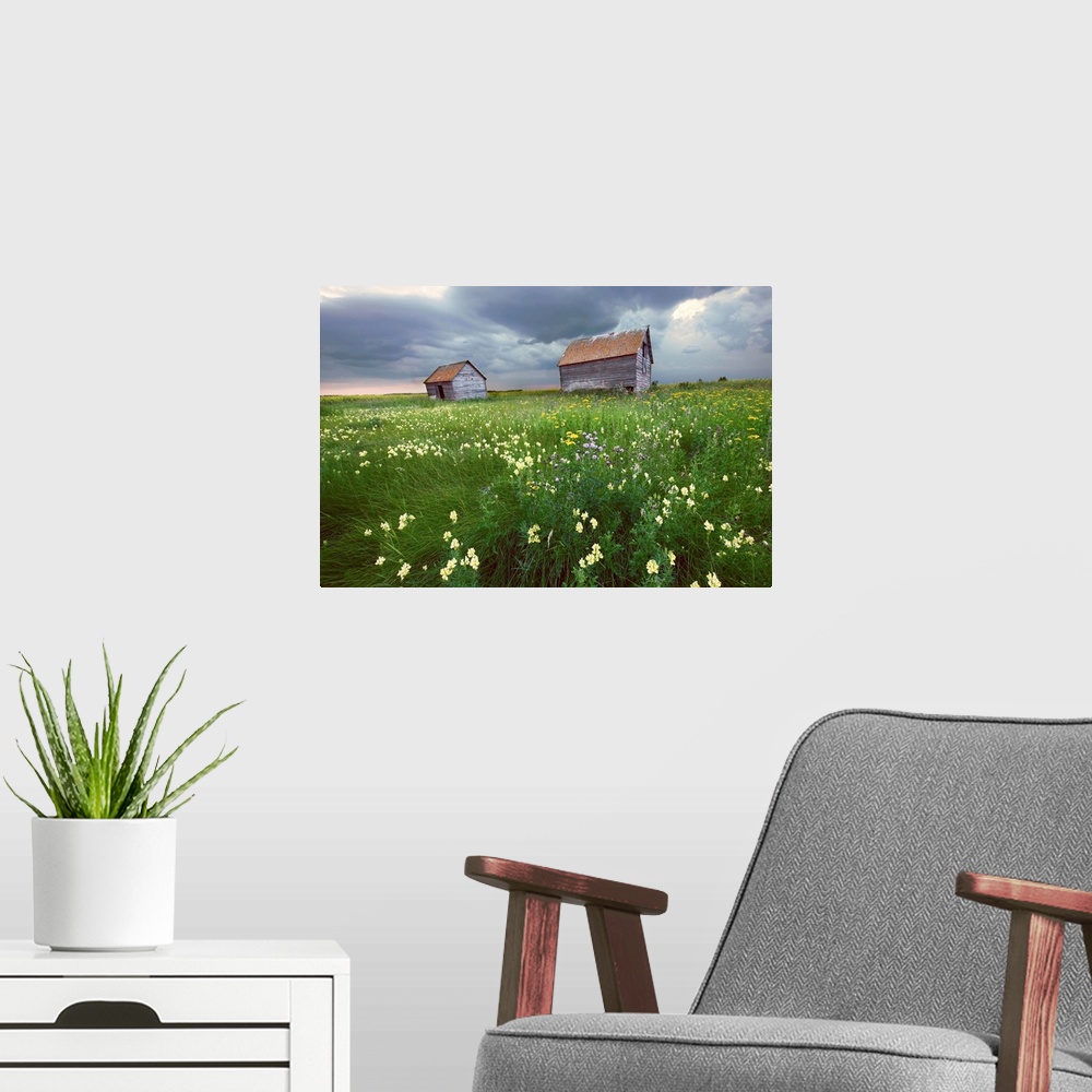 A modern room featuring Two Old Granaries With Prairie Wildflowers, Central Alberta, Canada