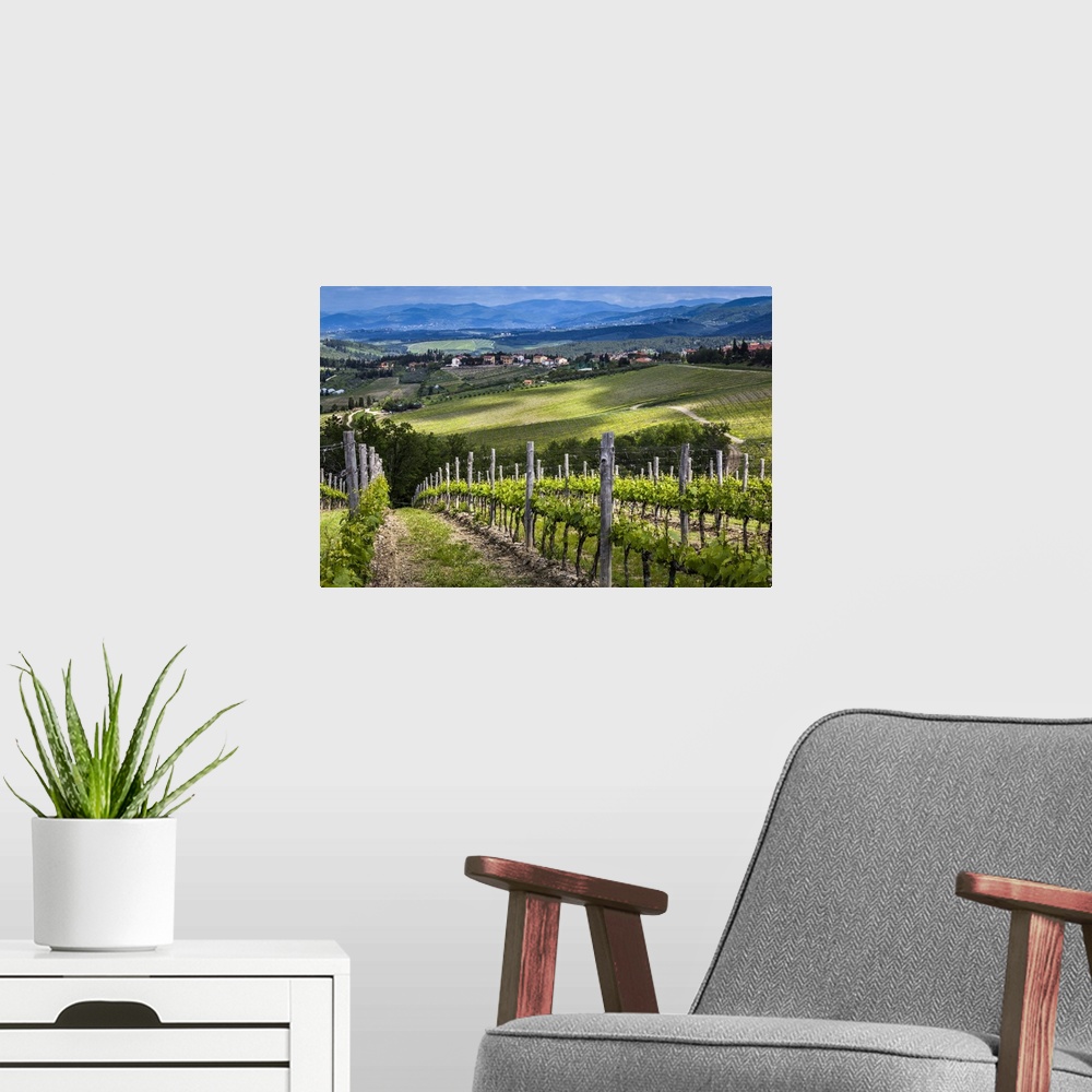 A modern room featuring Vineyard, Chianti, Tuscany, Italy