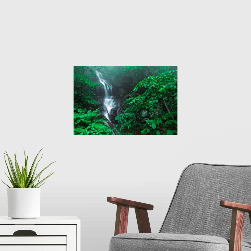 A modern room featuring Virginia, USA, Fog And Lush, Green Foliage Surround Lower Doyles River Falls