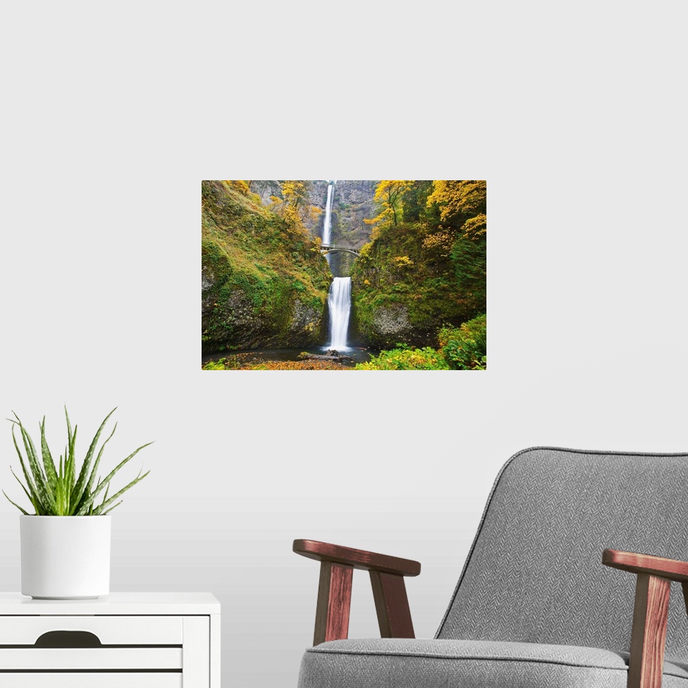 A modern room featuring Waterfalls Falling Into A Pool Of Water In A Forested Area