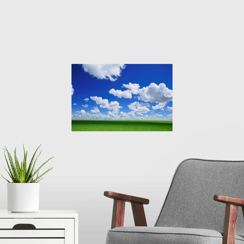 A modern room featuring White Clouds In The Sky And Green Meadow