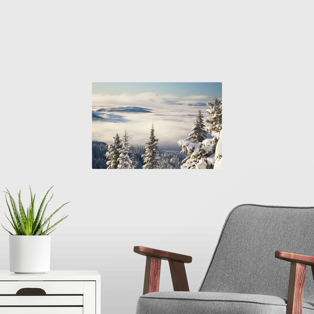 A modern room featuring Winter Landscape With Clouds And Snow-Covered Trees; Oregon