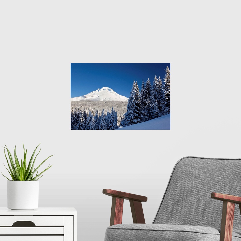 A modern room featuring Winter Snow Over The Cascade Range; Mount Hood, Oregon, USA
